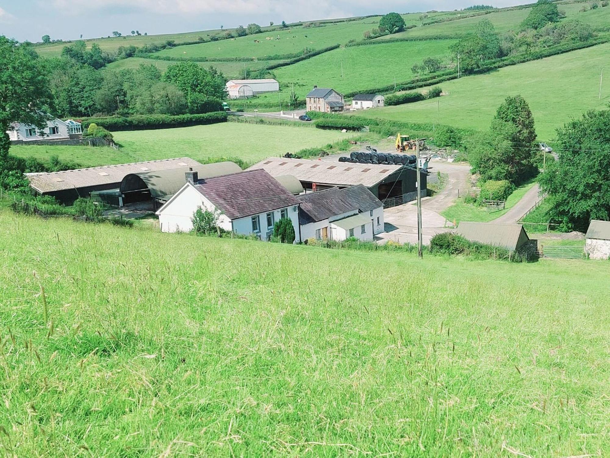 Typicca Farmhouse Brechfa Екстериор снимка